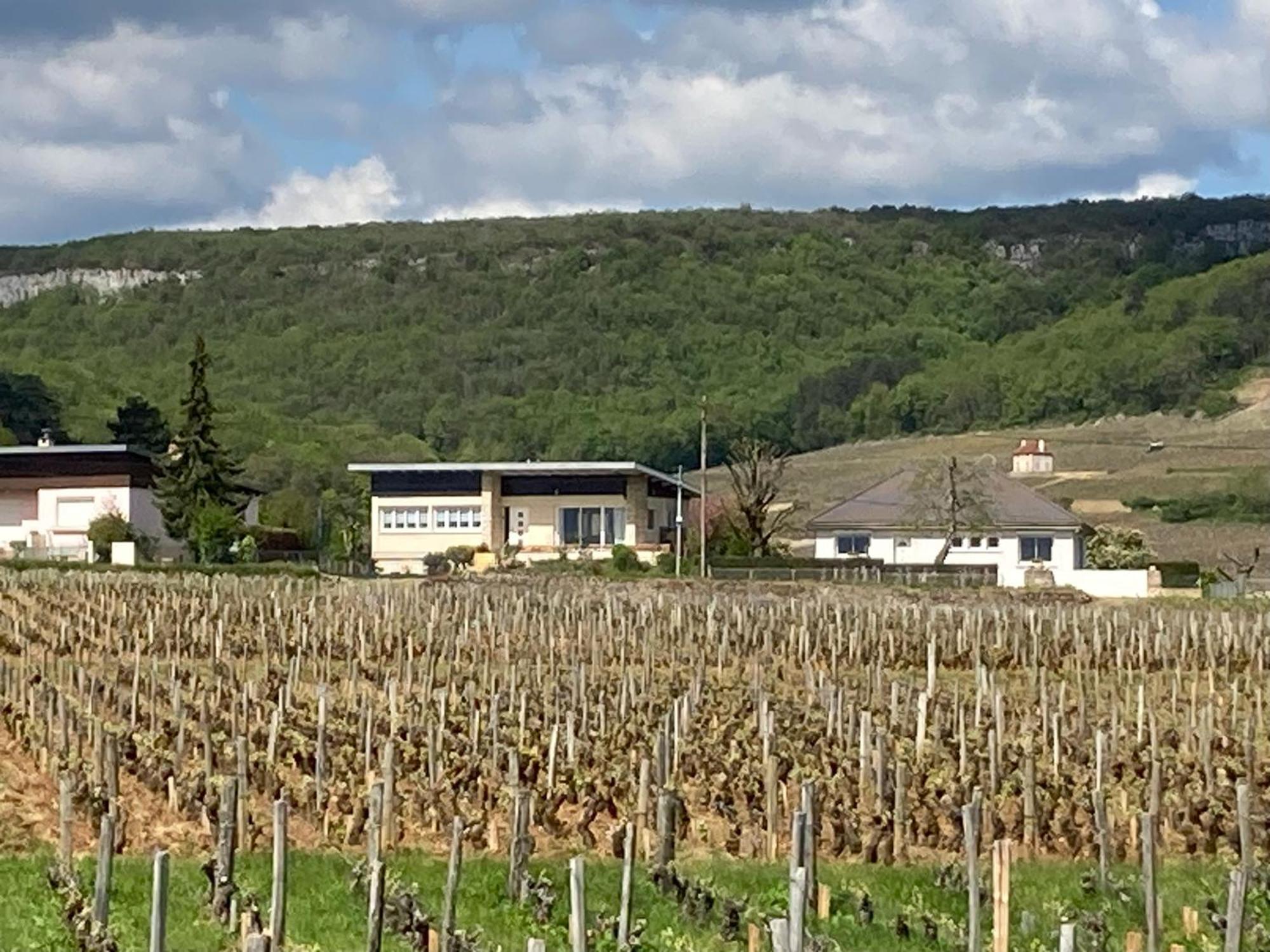 La Maison Fonteny, Chambertin *